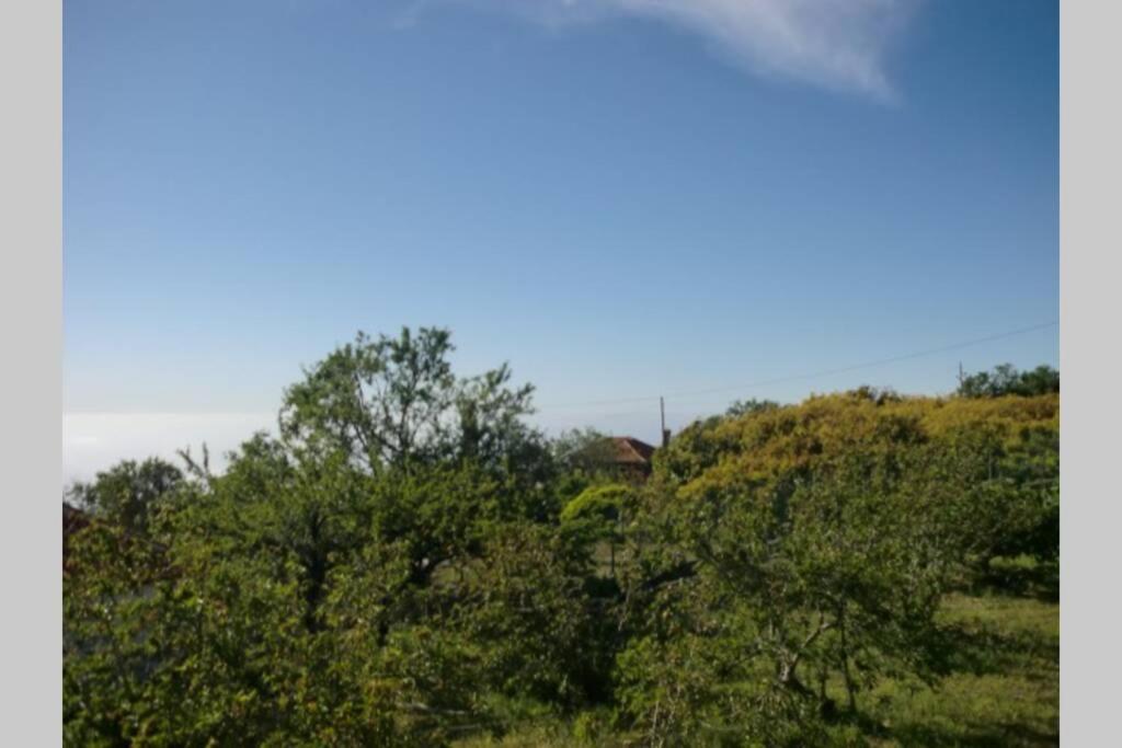 Casas Corea Puntagorda  Bagian luar foto