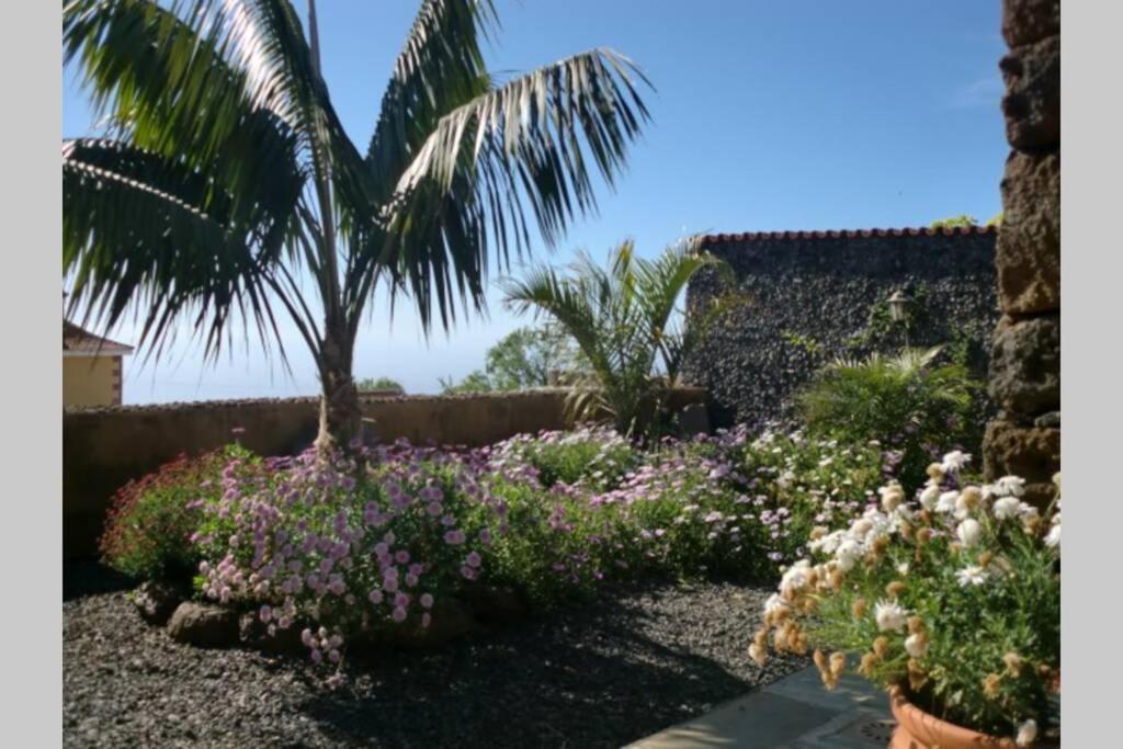 Casas Corea Puntagorda  Bagian luar foto